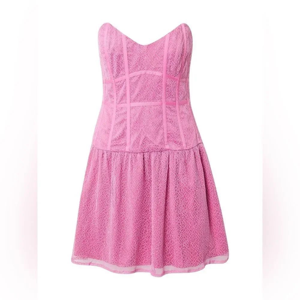 Bardot NWT Ross Mini Lace Dress in Vintage Pink Size 4 MSRP $178